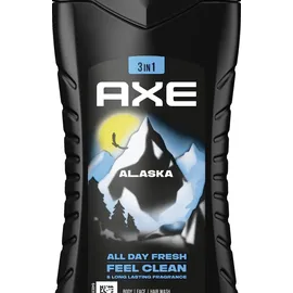 Axe Duschgel Alaska 3-in-1 250ml