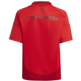 adidas FC Bayern München Heimtrikot 2024/25 Kinder Gr. 98