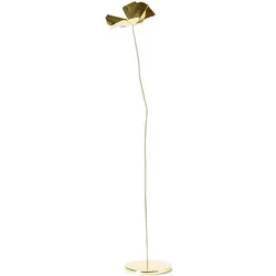 Papavero Delicato Dekoration S Blume goldfarben