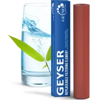 GEYSER water filters Aragon Filterkartusche braun 3000 l