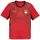 Puma Ägypten Heimtrikot (Replica) 2026 Herren Gr. XL