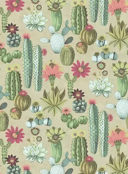 Kakteen Wandbild Cacti von Eijffinger - 384605