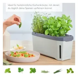 Gusta Garden Tomaten-Power-Set 9-teilig hellgrau