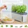 Gusta Garden Tomaten-Power-Set 9-teilig hellgrau
