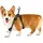 INSTA360 Pet Harness Mount Size M