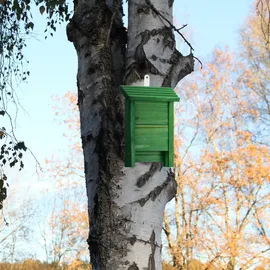 Relaxdays Fledermauskasten, Unterschlupf für Fledermäuse, HxBxT: 29 x 18 x 6 cm, Garten, Fledermaushotel, Holz, grün