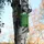 Relaxdays Fledermauskasten, Unterschlupf für Fledermäuse, HxBxT: 29 x 18 x 6 cm, Garten, Fledermaushotel, Holz, grün