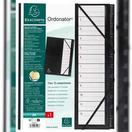 Exacompta 625665E Dateiablagebox Karton Schwarz