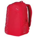 Basil Flex 17l Rucksack