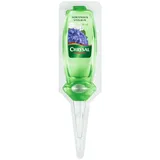 Chrysal Hortensien Vitalkur 30 ml