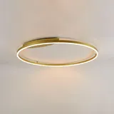 s.luce LED Ring Wandlampe & Deckenleuchte Dimmbar modern rund