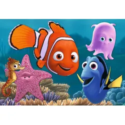 Nemo der kleine Ausreißer