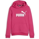 Puma Mädchen ESS Logo Hoodie Tr G Sweat