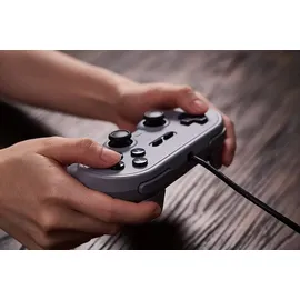 8bitdo Pro 2 Controller Grau für Switch / PC