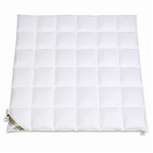 Betten Hofmann Luxus Daunendecke Daunenbett 6x6 200x200 cm warme Ganzjahresdecke