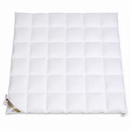 Betten Hofmann Luxus Daunendecke Daunenbett 6x6 200x200 cm warme Ganzjahresdecke