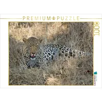Calvendo Puzzle Leopard 1000 Teile Puzzle quer | 1000