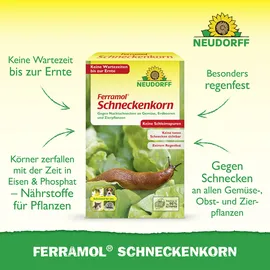 NEUDORFF Ferramol Schneckenkorn 1 kg