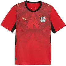 Puma Ägypten Heimtrikot (Replica) 2026 Herren Gr. S