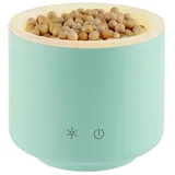 Taoasis AromaStream Wood Mini grün/mint