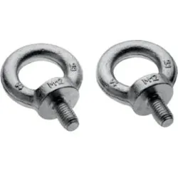 Hager FZ411XE Ringschrauben M12.Ringschraube M12 zum Heben für passenden Schränke.