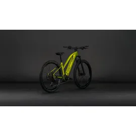 Cube Reaction Hybrid Race 800 2026 29 Zoll RH 45 cm lizard 'n' black 