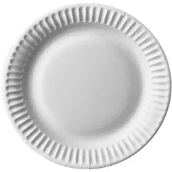 PAPSTAR 100 Teller, Pappe "pure" rund Ø 15 cm weiss