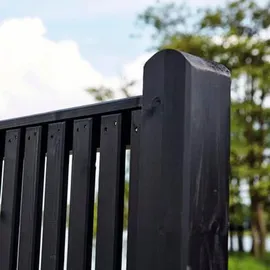 Plus Vorgartenzaun 180 x 80 cm Schwarz/Holz
