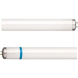 PHILIPS Leuchtstofflampe Actinic BL #85383400