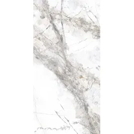 Euro Stone Bodenfliese Feinsteinzeug Caldera Silber 60 x 120 cm
