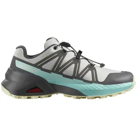 Salomon Speedcross Peak Damen Icicle/Castlerock/Aruba Blue 37 1/3