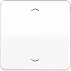 Jung Steuertaste Standard Symbole Pfeile CD 1700 P WW
