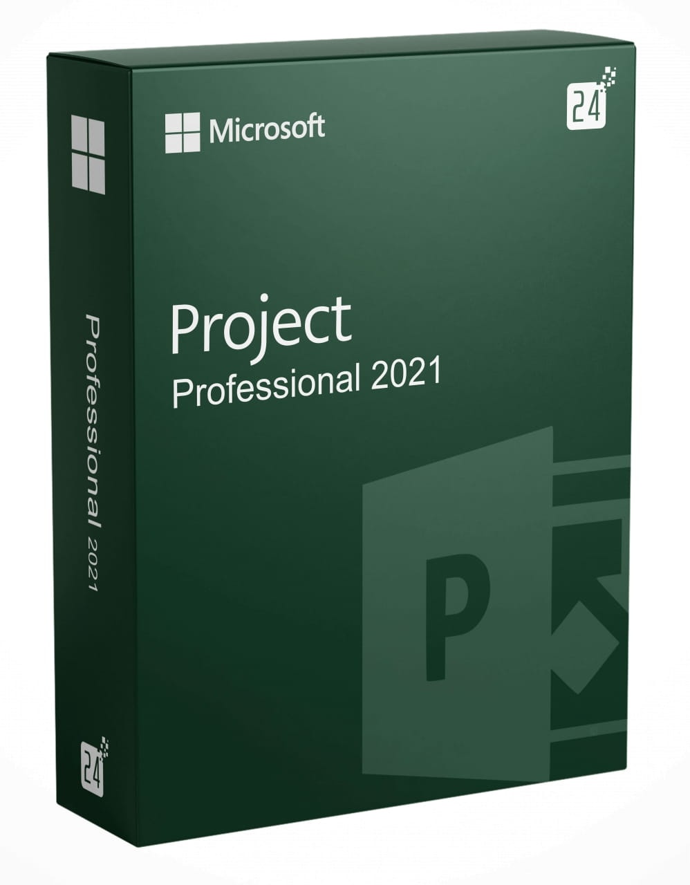 Microsoft Project 2021 Professional