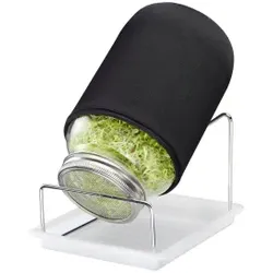 WESTMARK Sprossenglas-Set mit Auffangschale, 1 Glas, Praktisches Keimglas-Set für die einfache Keimung von Sprossen und Keimsaaten, 1 Set = 1 Glas à 2 Liter