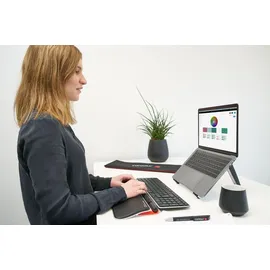 CONTOUR RollerMouse Red Plus Schwarz
