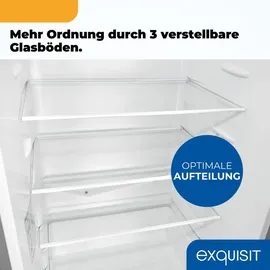 Exquisit KGC5320-95-E-WS-040C Kühl-Gefrierkombination (313 l, 1939 mm hoch, Silber)