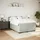 vidaXL Boxspringbett 160 x 200 cm Hellgrau