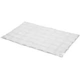 BettwarenShop Daunendecke Comfort medium, Füllung: 60% Daunen, 40% Federn 200x200 cm