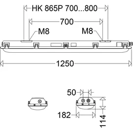 Schuch e865F 12L60 EX-LED-Wannenleuchte IP66 grau