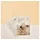 Cosrx Master Patch Basic Pimple Patches 36 Stk