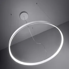 Sollux Lighting Ring Pendelleuchte Hängelampe Wohnzimmerleuchte schwarz LED Designleuchte L 78cm