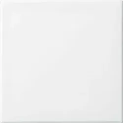Busch-Jaeger Wippe aws Busch-balance SI 2546-914