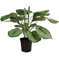 Hochwertige Calathea - Korbmarante Kunstpflanze grün