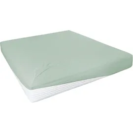 Primera Spannbettlaken Elasthan-Jersey 180 x 200 - 200 x 220 cm grün