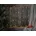 Star Trading Lichtervorhang LED 100x82 cm Warmweiß