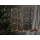 Star Trading Lichtervorhang LED 100x82 cm Warmweiß