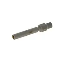Bosch Einspritzventil