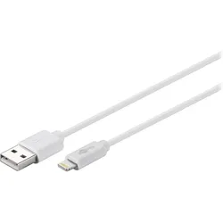 Wentronic goobay - Lightning-Kabel - Lightning männlich zu USB männlich