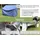 needs&wants® Gartenbank Holz wetterfest mit Stauraum und Abdeckung, 2-Sitzer Truhenbank Holzbank klassisch, Parkbank Sitzbank massiv Garten Outdoor mit Truhe, Massivholz, weiß