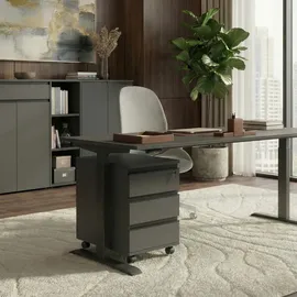 KADIMA DESIGN Büro Set 2-teilig Schreibtisch 140x80cm & Rollcontainer Graphit Einstellbar 68-91 cm & Soft-Close Made in Germany "Stuttgart" Kadima Design